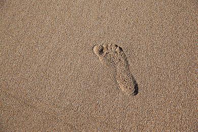 《Fate＆Samurai Remnant》PC版系统配置需求公布